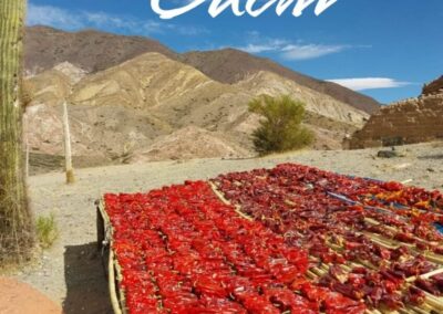 CACHI – TURISMO TRECE